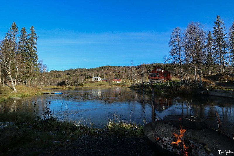 IMG_2329_tor viken.jpg - Det har vært frost om natta, og det har lagt sæ ei isskorpe på Snustaddammen